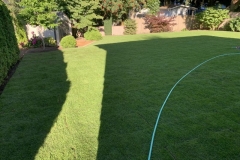 2020-07-29-Port-Moody-3551Grass-Roof-Landscape-Yard-Gazebo-10990-Oriole
