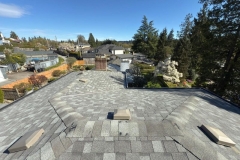 IMG-20250421-WA00341